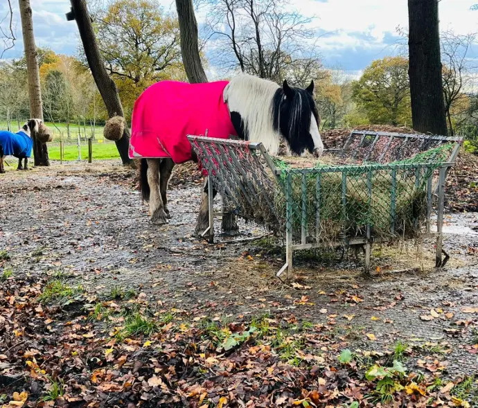 HIT Top Clean Mats HIT Top Clean Mats by horse feeding area preventing the build-up of mud