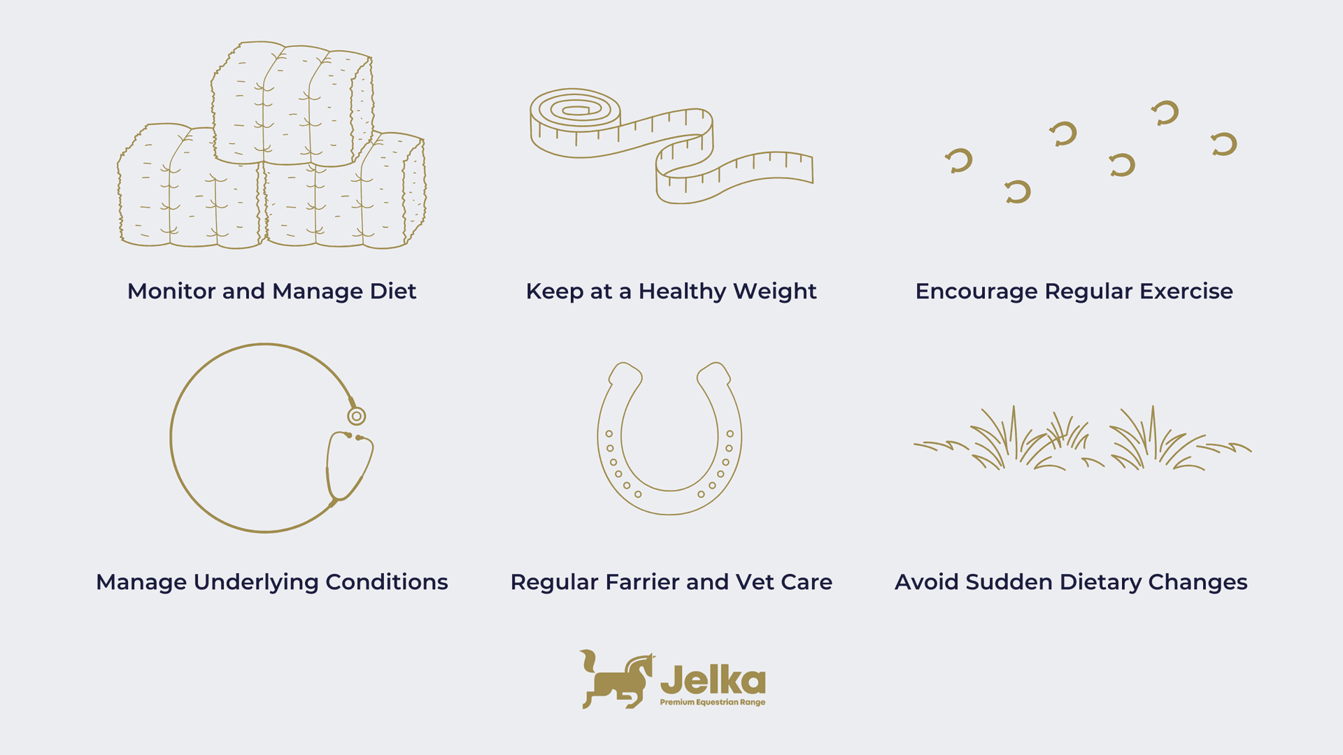 Laminitis Care for Horses Care tips for horses prone to laminitis