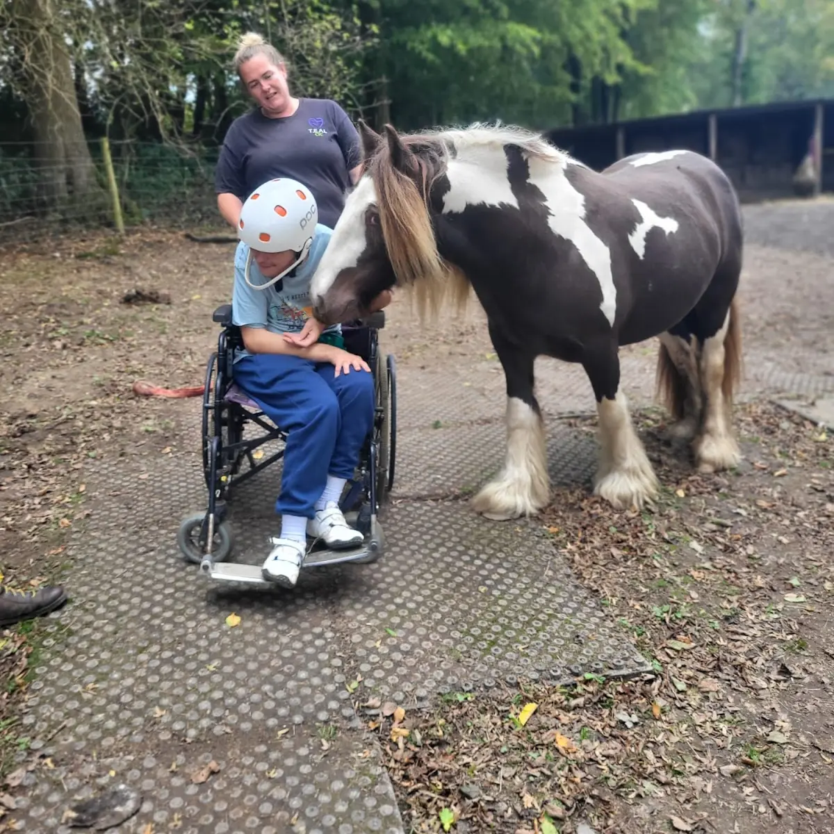 The HIT Top Clean Mats proving there worth at Teal CIC The HIT Top Clean Mat after having been laid in a track system, have allowed for wheel chairs to be used to be able to get to the horses for Teal CIC to do there therapeutic sessions.
