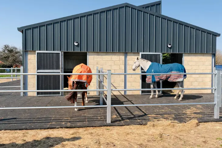 two horses enjoying turnout pens