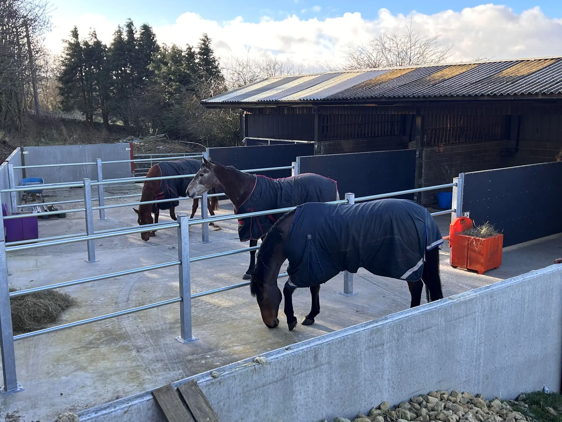 moorside farm Jelka turnout fencing