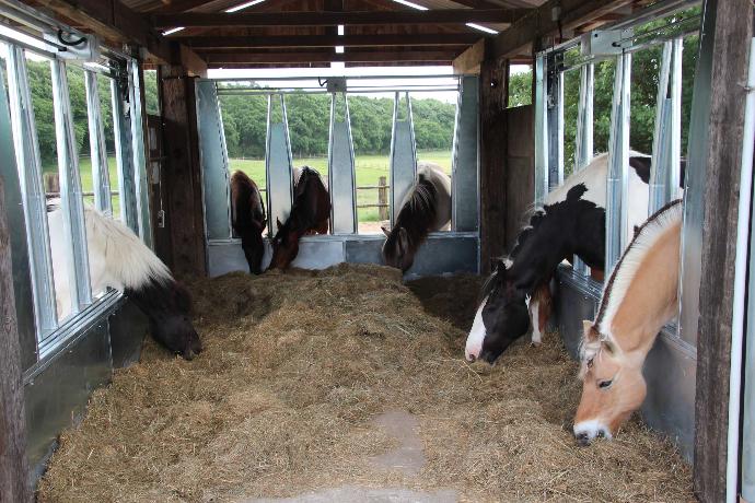 Forage feeding Forage feeding for a herd