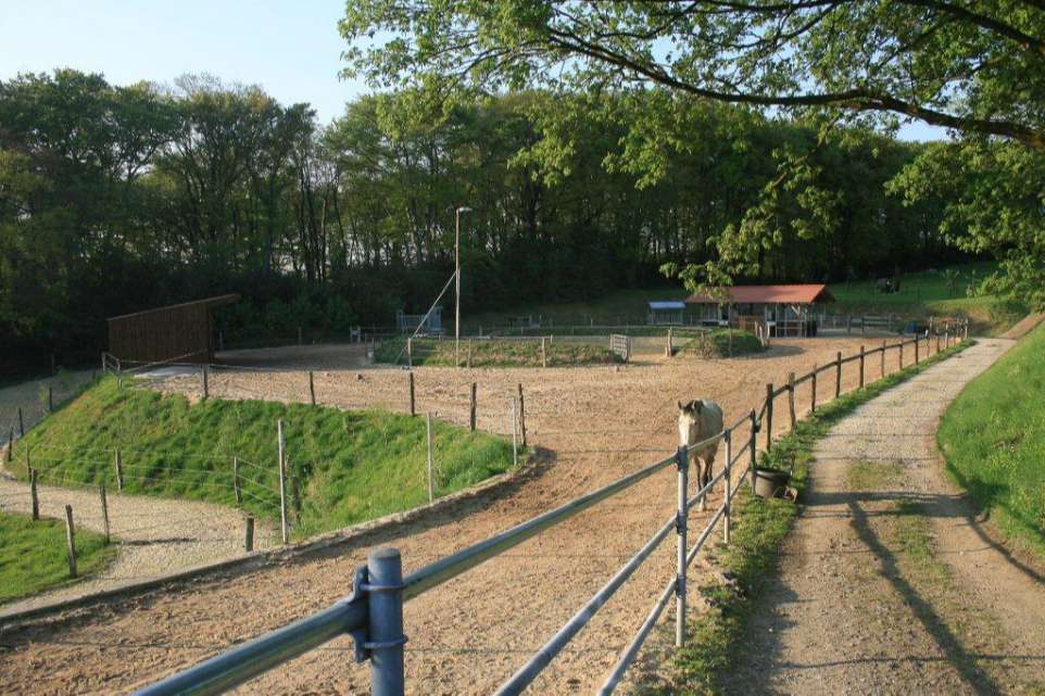 Active Stable trail with feeding station Active Stable trail with feeding station