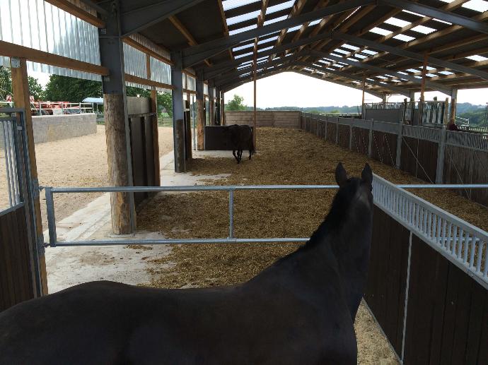 Large open barn with loose boxes