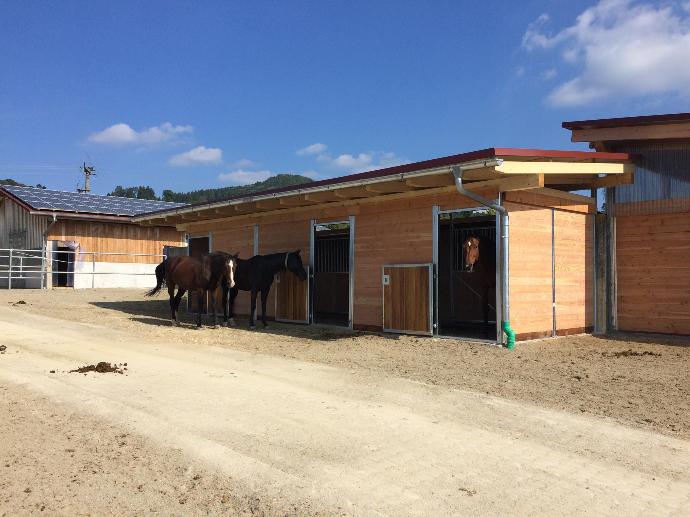 Secure stables as night pens Secure stables as night pens