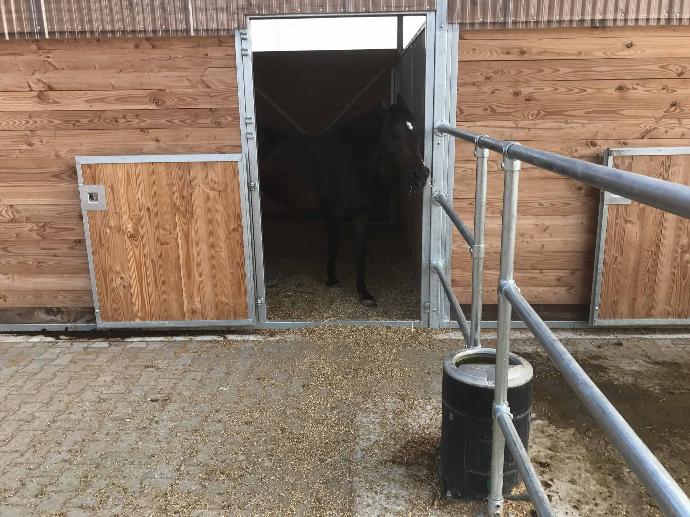 Stable and turnout alongside Activestable