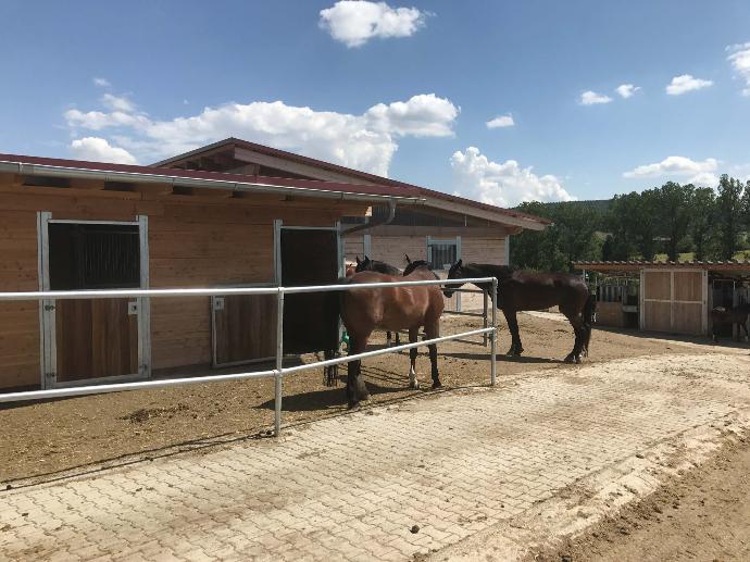 Stable and turnout alongside Activestable track Stable and turnout alongside Activestable track