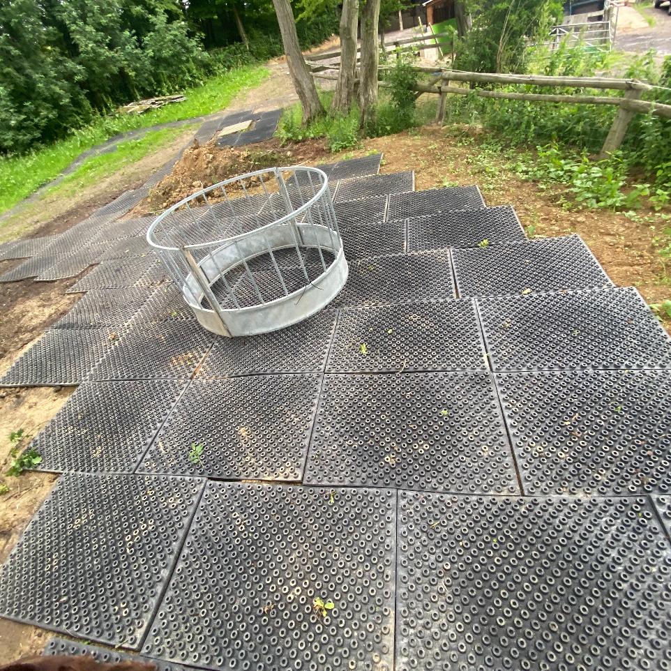large feeding area HIT Top Clean