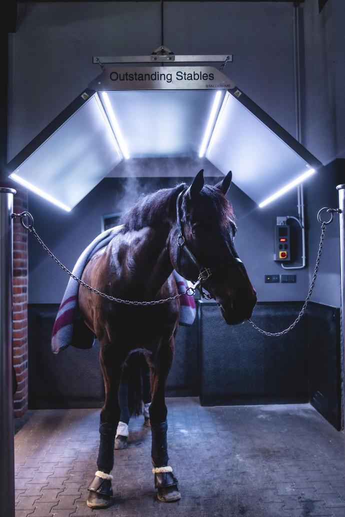 A horse enjoying the Stallvarme infrasolarium