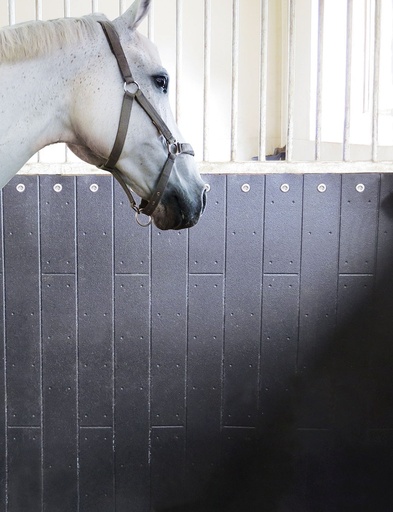 BELMONDO® Rodeo wall protection