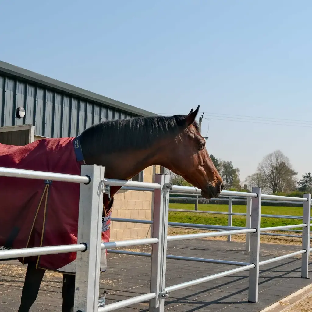 Turnout Pen Fencing (Galvanised)